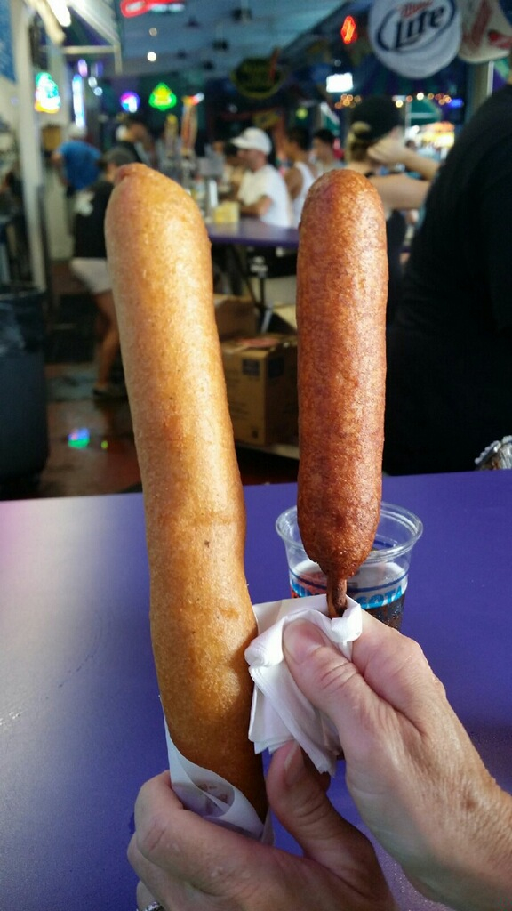 Pronto pup