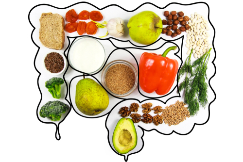 gut health