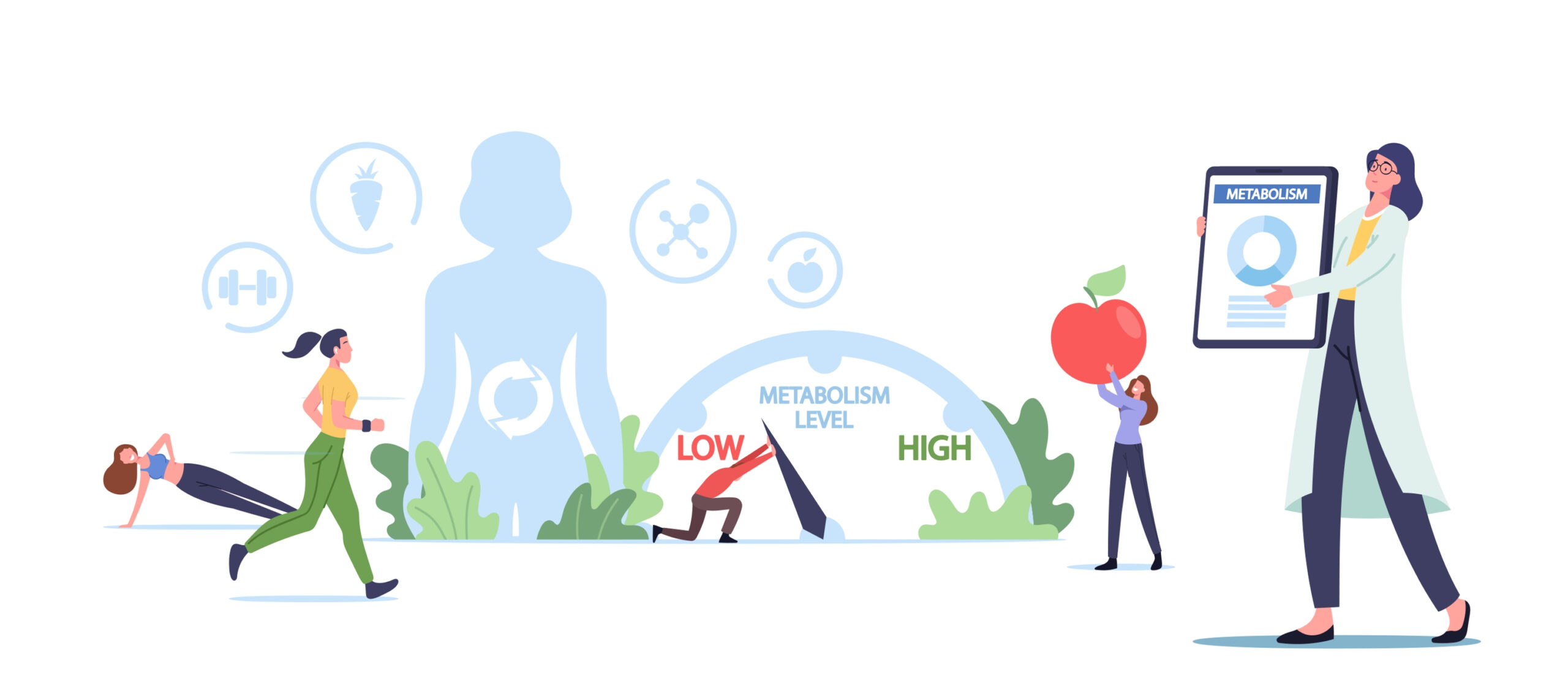 Metabolism,,Food,To,Energy,Conversion,Concept.,Tiny,Characters,At,Huge