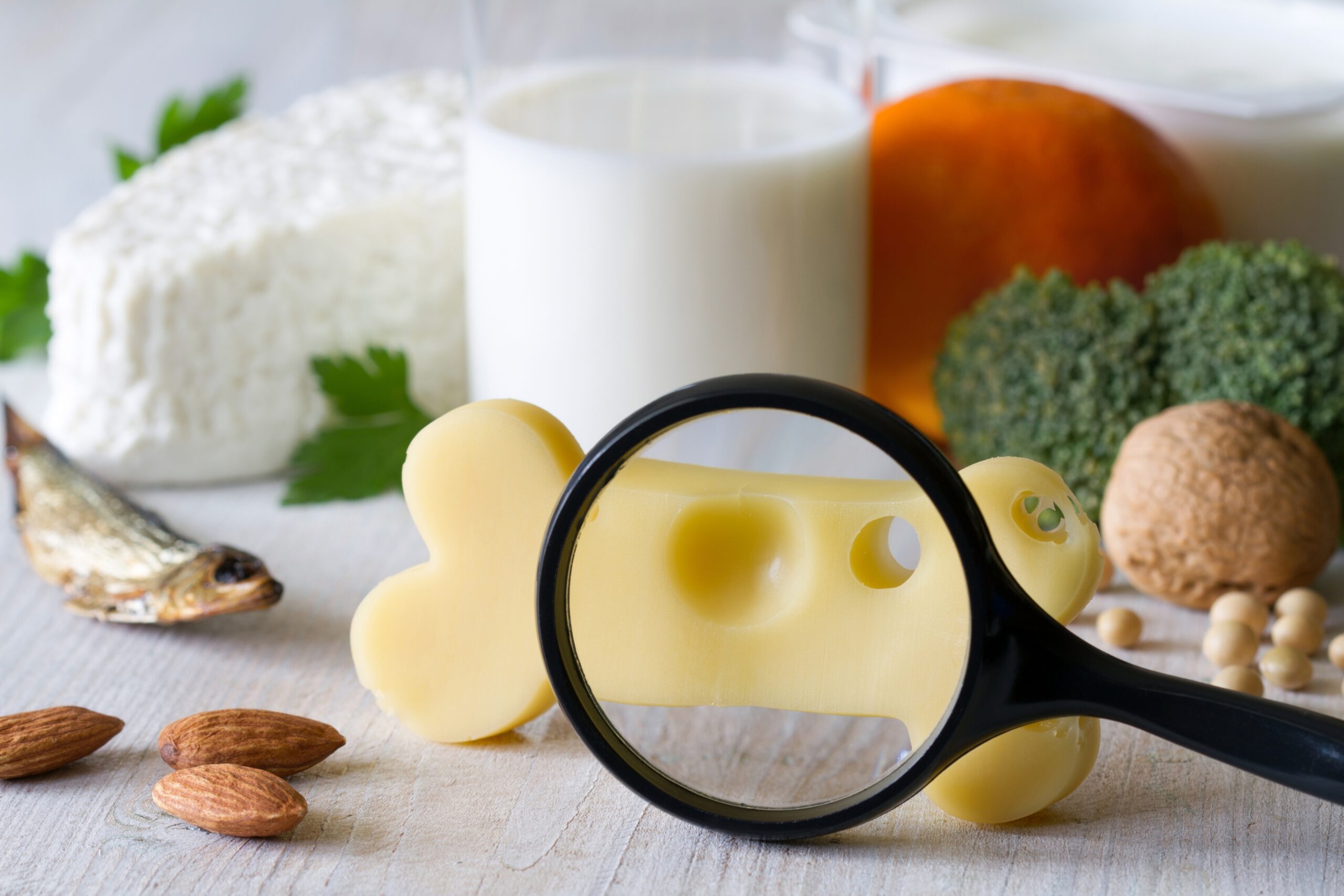 Bone,Shaped,Cheese,,Magnifier,And,Bone,Strengthening,Foods,Products,,Concept