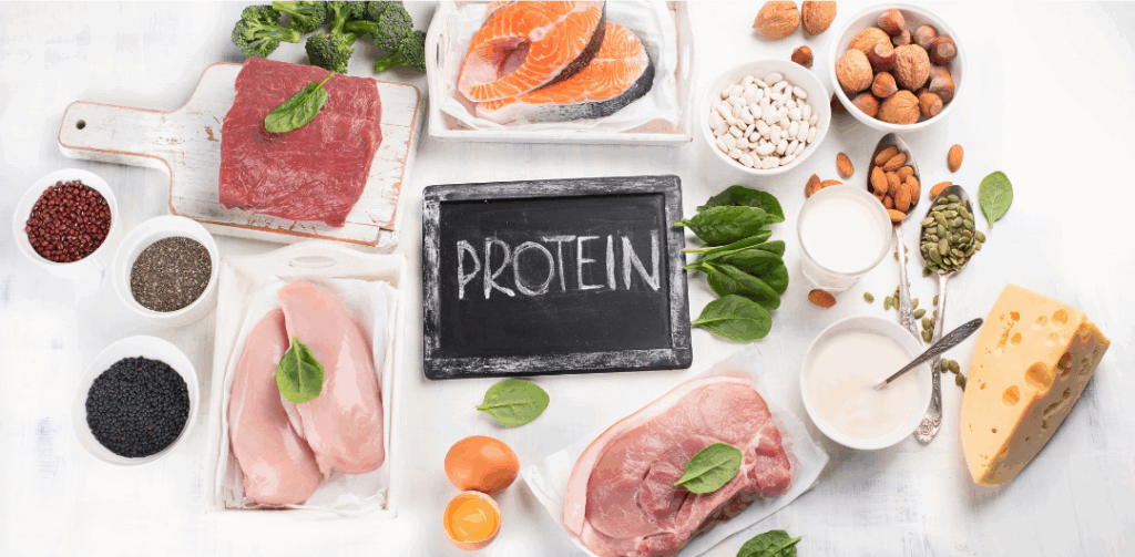 Protein - canva image